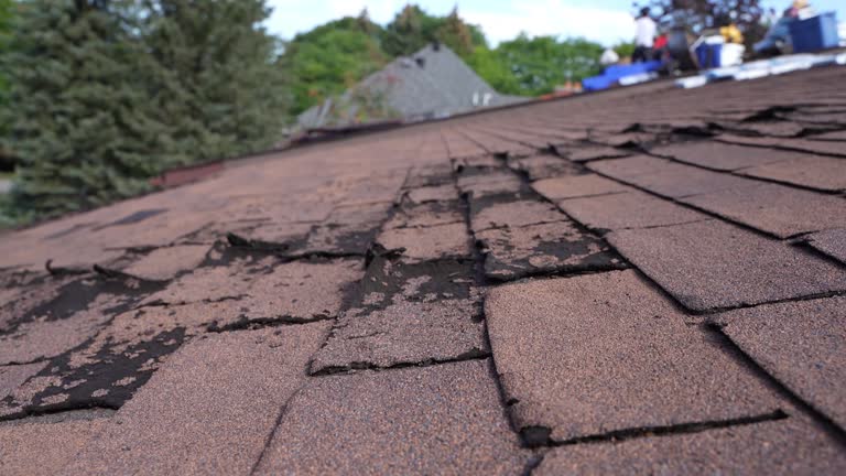 Best Rubber Roofing (EPDM, TPO)  in Linthicum, MD